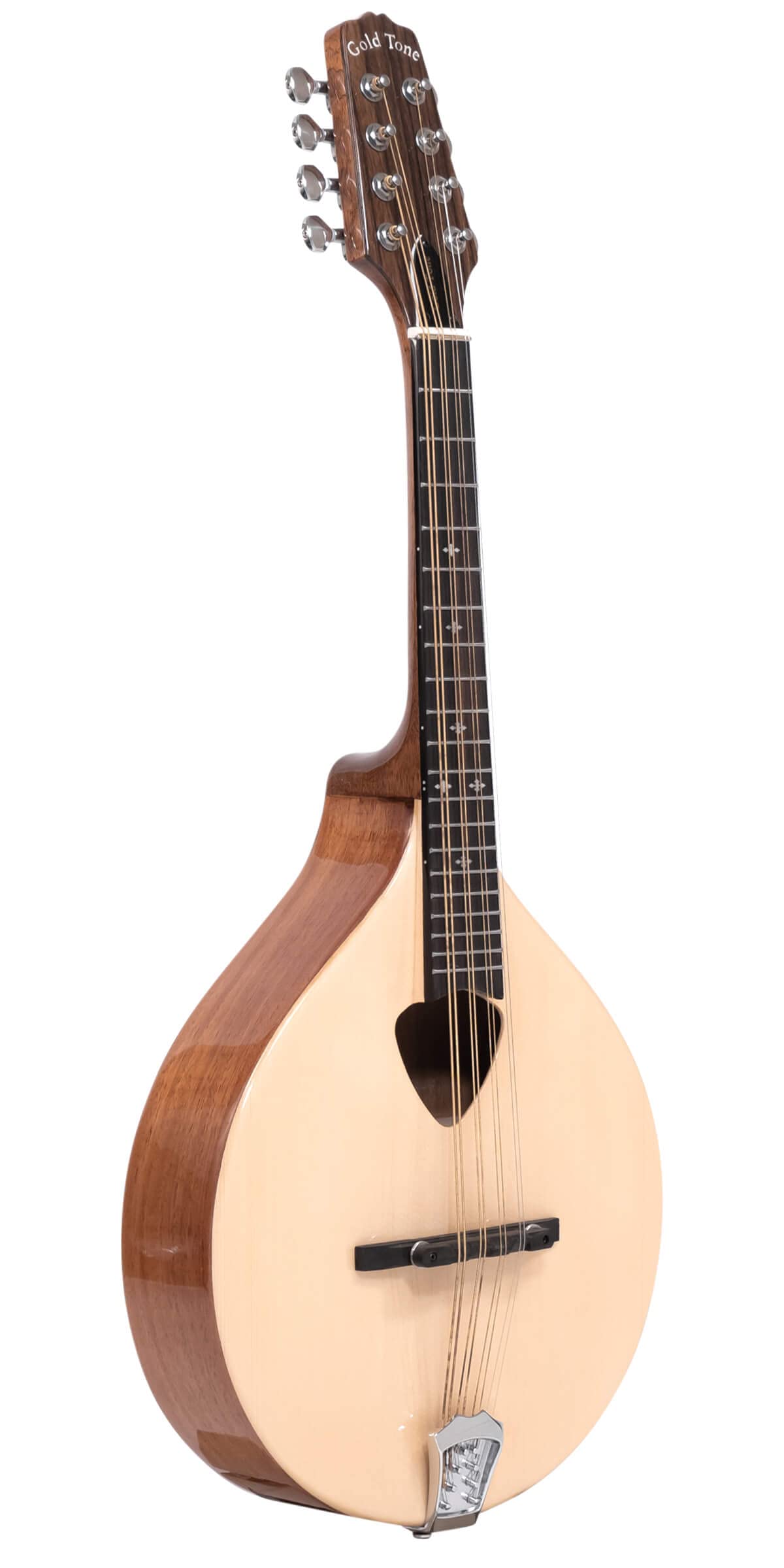 Earlham ゴールド マンドリン 8弦 Amazon | ゴールドトーン 4弦 マンドラ | マンドリン | 楽器・音響機器